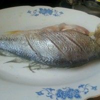 ҹ֮ƻն