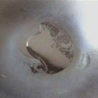 ˳˿