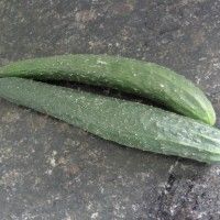 黄瓜木耳肉片