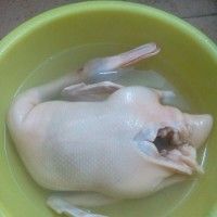 Ѽ
