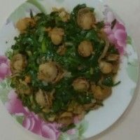 ȱ