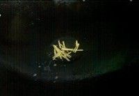 ֭ݹƬ