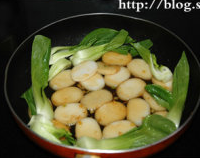 XOڽڸ