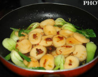 XOڽڸ