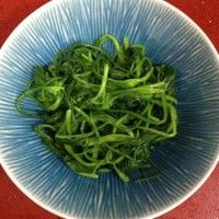 自家菠菜拌鸡丝