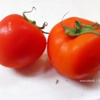 ·˺ں