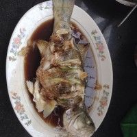 清蒸鲈鱼