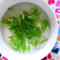 香椿土豆丝