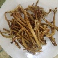 Բ棩