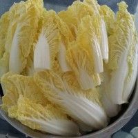 罷빽޲