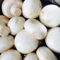 口蘑烧鸡腿