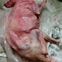 手把羊内蒙古风味