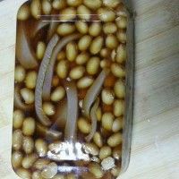 QQƤݲ