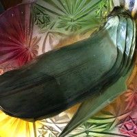 ŴŹ