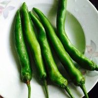 Ƥཷ