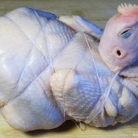 鼦