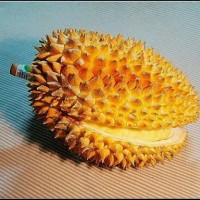 Ҽ