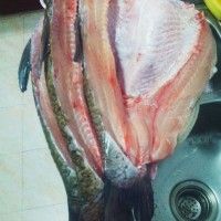 红烧咸鱼附咸鱼的腌制方法