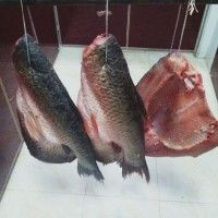 红烧咸鱼附咸鱼的腌制方法