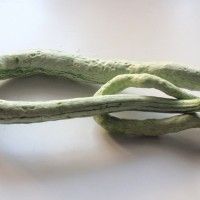 清炒蛇瓜