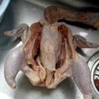 ռ