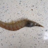 香酥开背虾