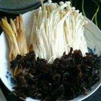 素蝽子