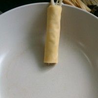 素蝽子