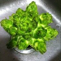 清爽可口凉拌九头菜
