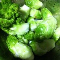 清爽可口凉拌九头菜