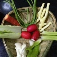 新手做四川泡菜