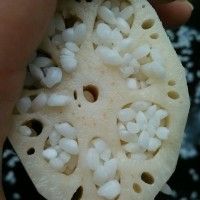 ˰潹Ŵźѧ