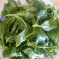 齴贩