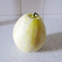 ˮϹ