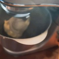 ţ̰˾ͼƬ8