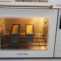 ݮͼƬ8