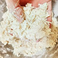 做正宗榆钱儿馒头（天然美食）的图片步骤1