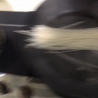 做正宗虾仁茄汁拌面的图片步骤9