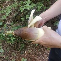 ͼƬ1