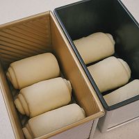 ڳڸ ˾ͼƬ10