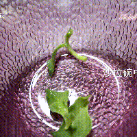 ڱݼɳͼƬ3