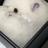 ݮˮ˾ͼƬ8