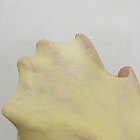 ҬزͰͼƬ5