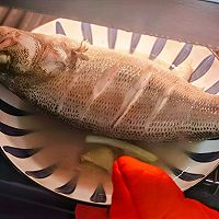 桫ͼƬ7