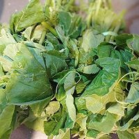 做正宗南瓜藤馄饨的图片步骤1