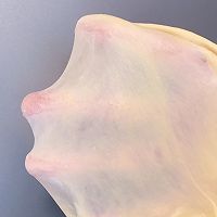 ˫Ϲϼ˾ͼƬ3