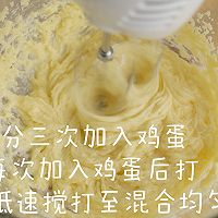 Ĩ֥鵰ͼƬ3