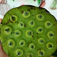 ڽζּҳ̶֮ѿͼƬ4