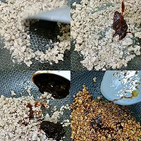 做正宗万能肉酱做的粉丝包的图片步骤1