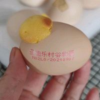 ڵȤݷͼƬ14
